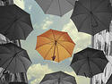 blog pic