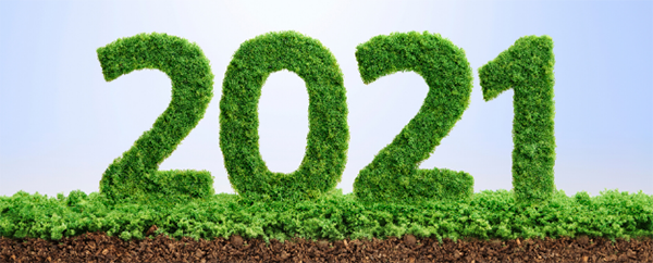 2021 cert blog header