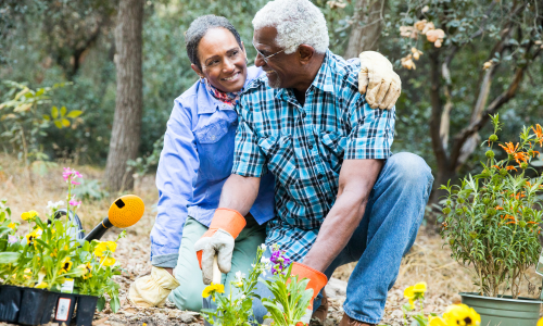 National Western Annuities