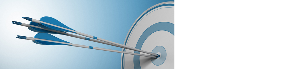 PSM Top Flight Medicare Lead Program