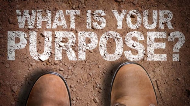Purpose