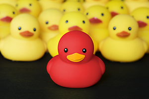 closeup-of-rubber-duckies