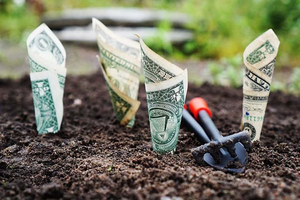 Venture-Funded Medicare Advantage Plans Launch into 2019 Market