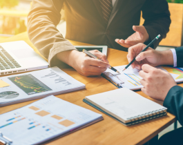 Robust Portfolio with Quality Carriers