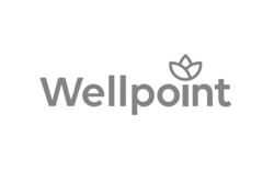 Wellpoint Health Insurance Plans